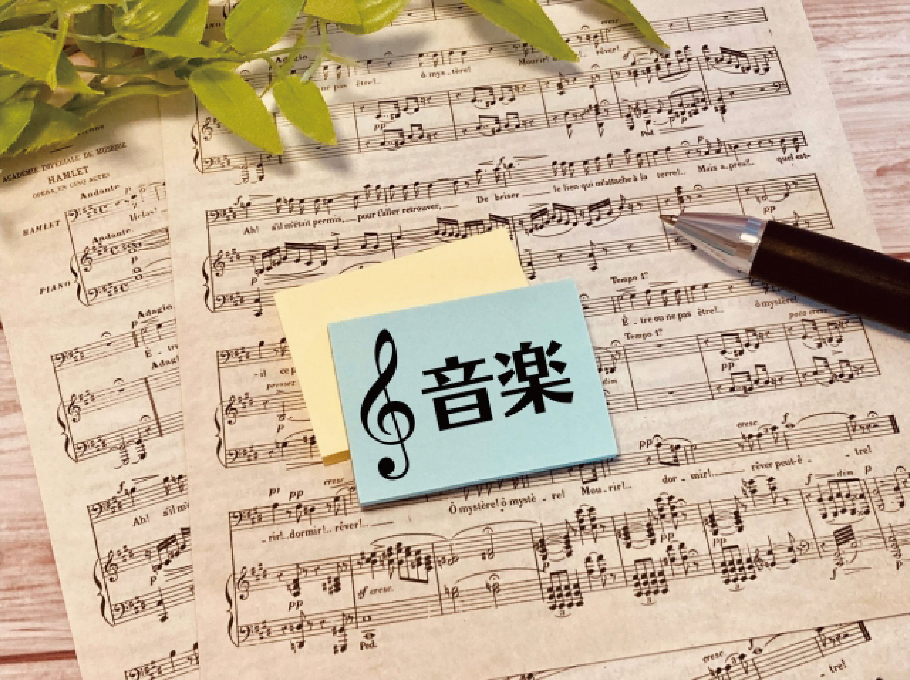 育成・受験コース